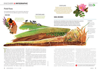 Article and illustration about grasslands and agricultural lands as Natural Climate Solutions in Canada.