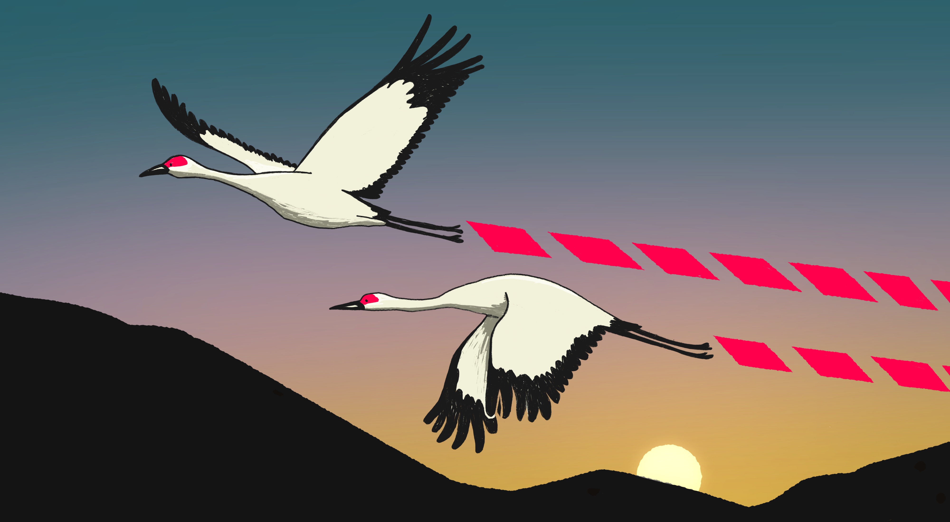 Illustration of white birds flying.