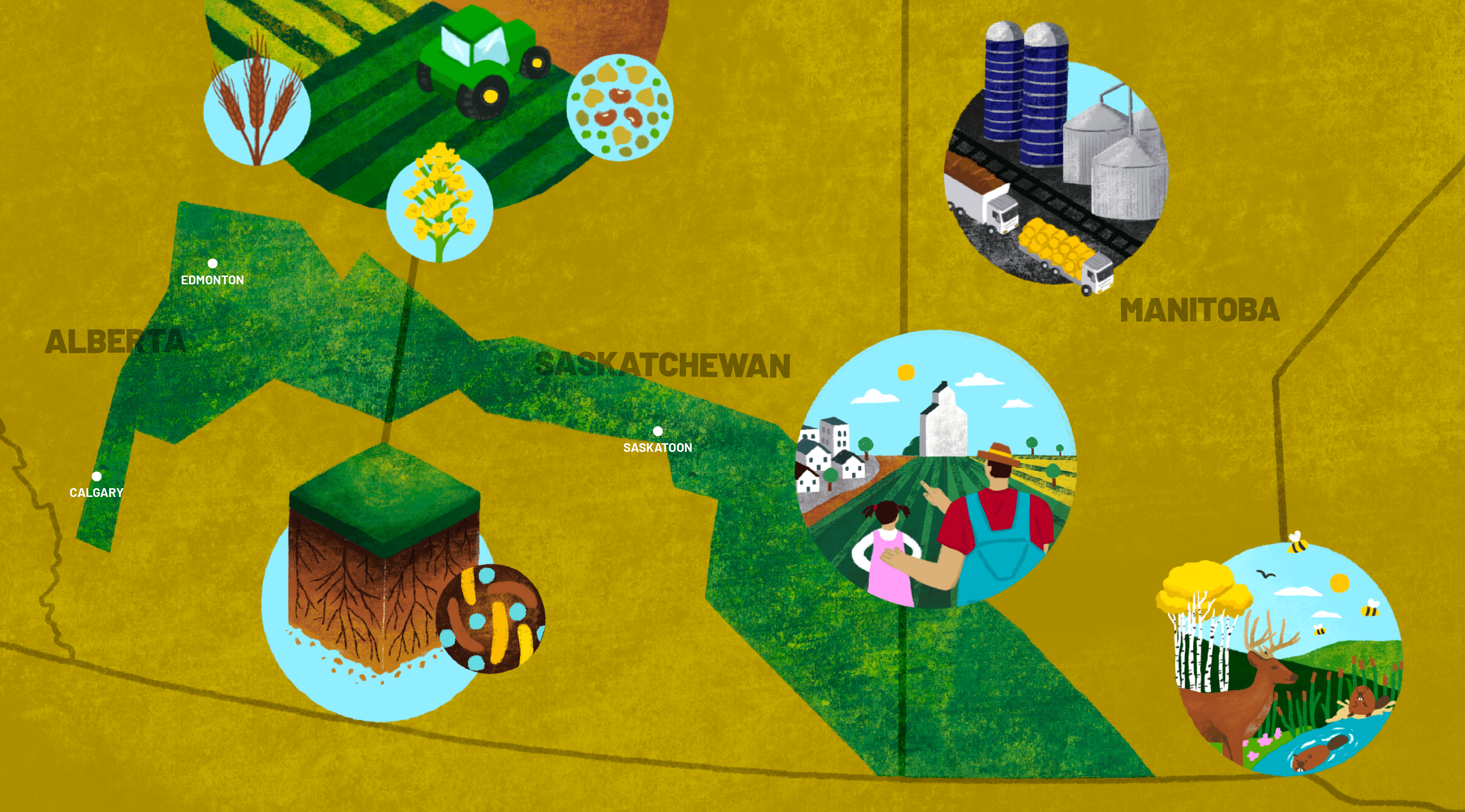 Graphic of sustainable agriculture