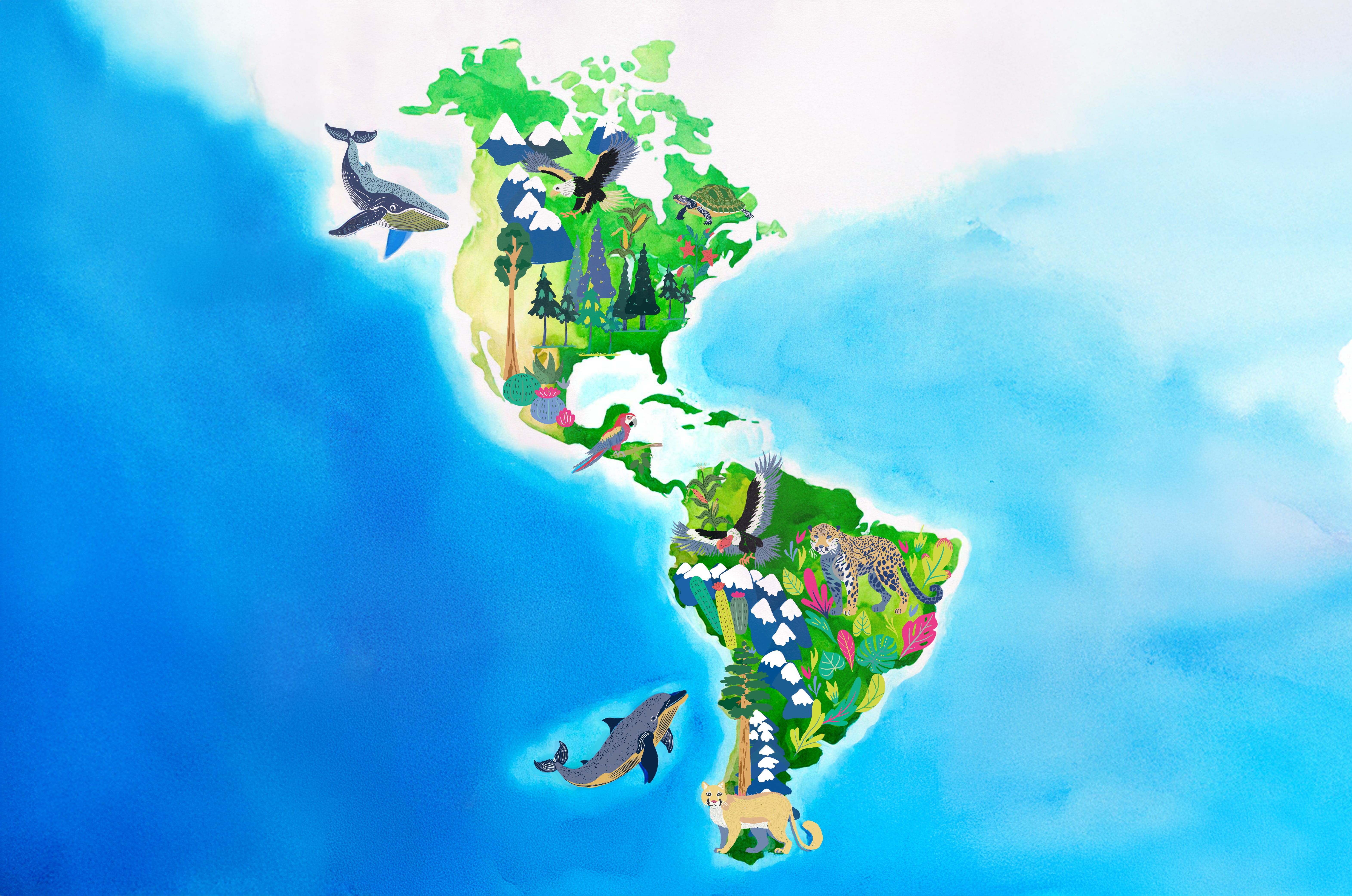 Illustrated map of the Americas that includes animals from the regions.