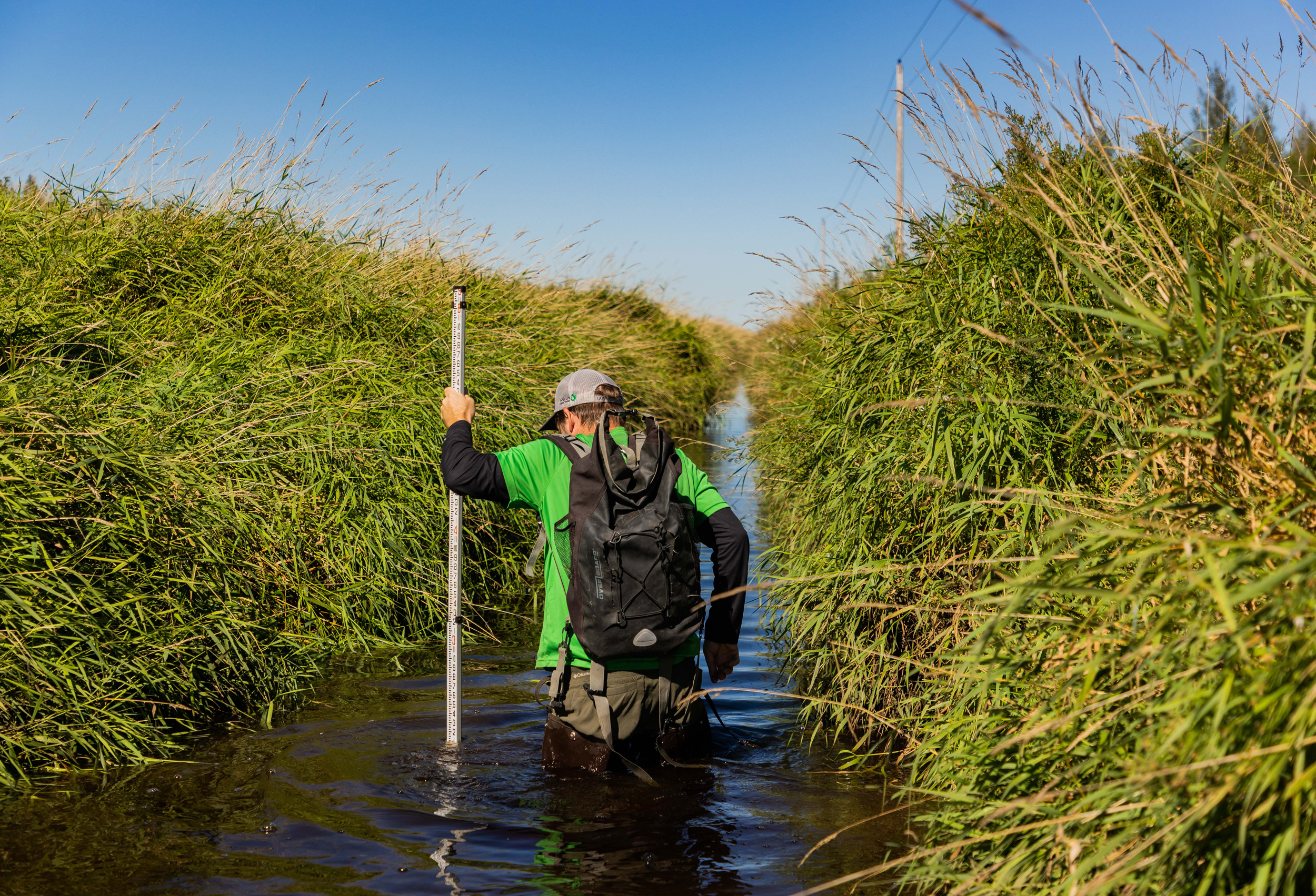 A restoration ecologist standing in the thigh-high water of a drainage ditch, while holding a measuring stick.