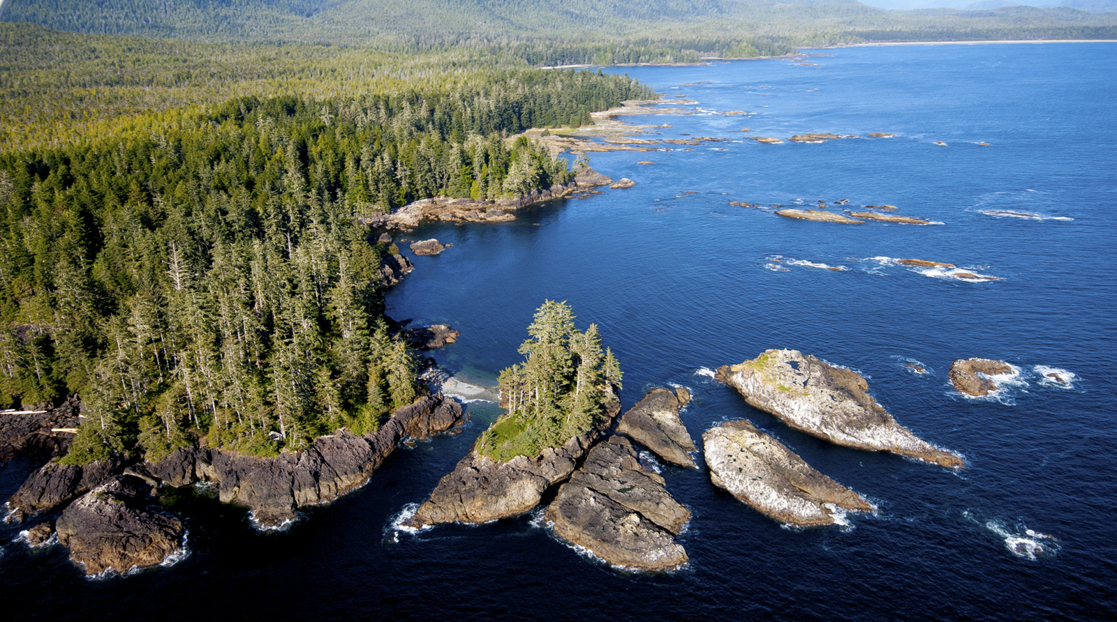 The coastal old-growth forests on the west coast of Vancouver Island make up the traditional territory of three First Nations.