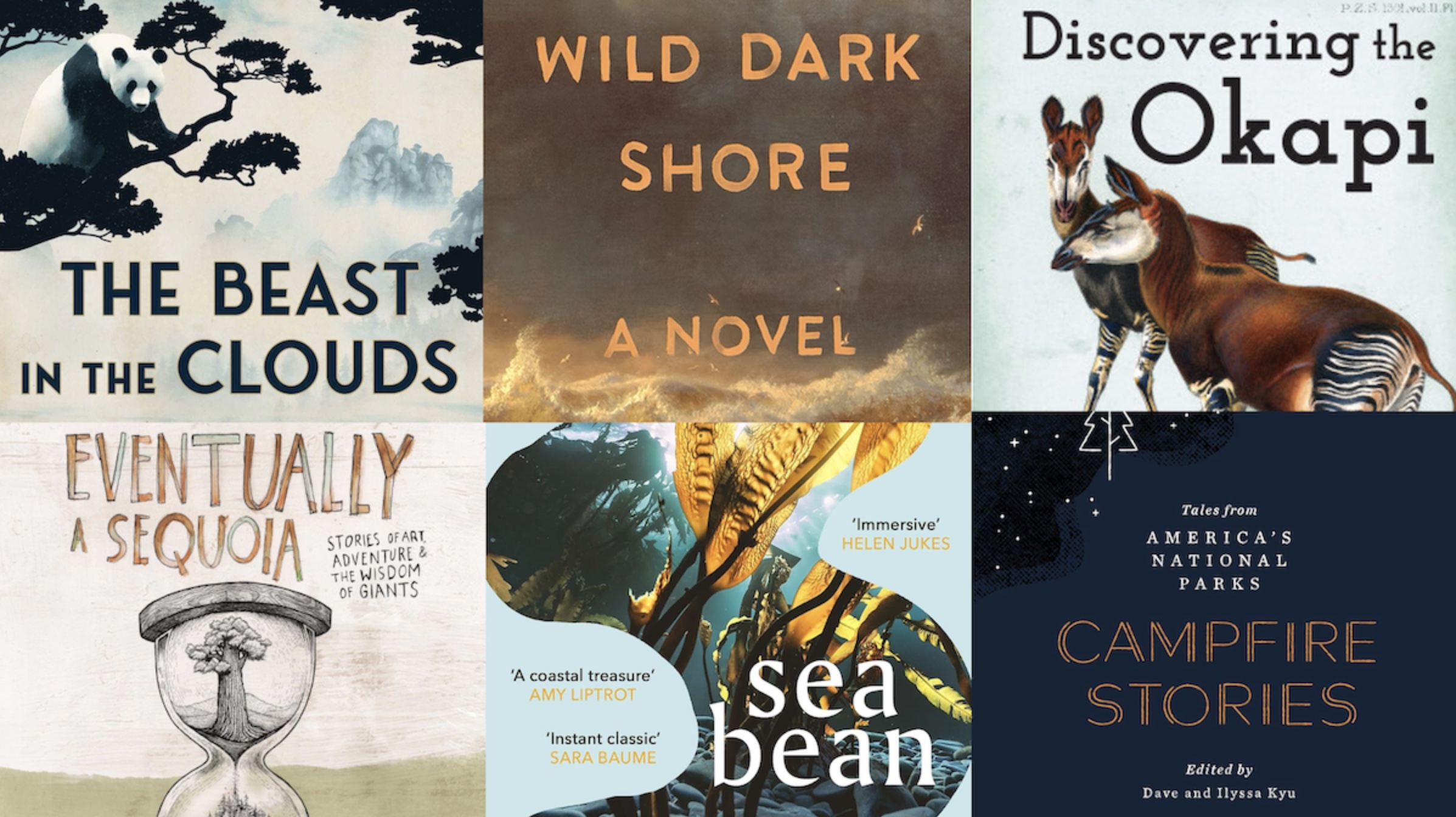 Image of various book covers.