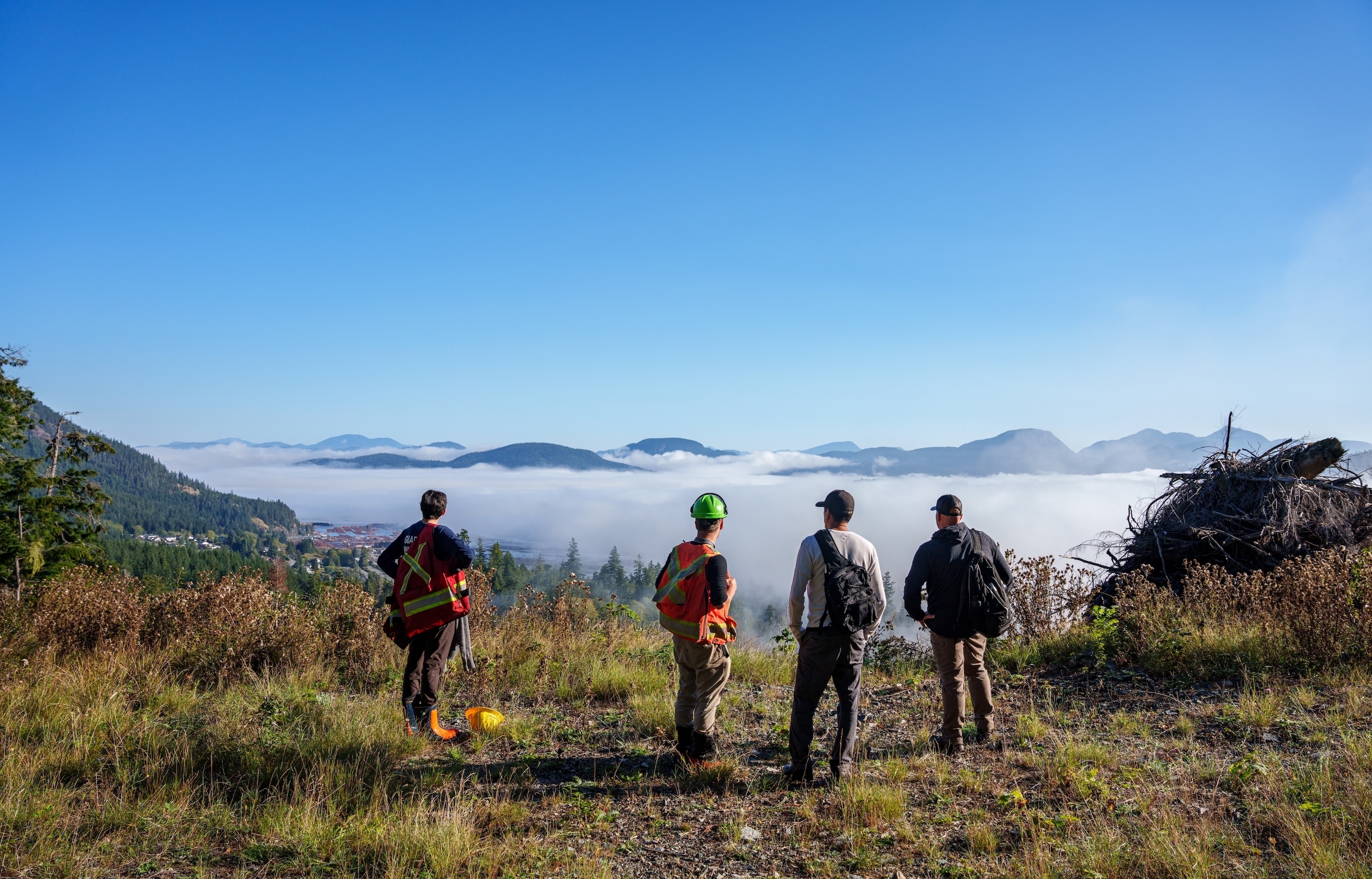 Forest Management in Canada