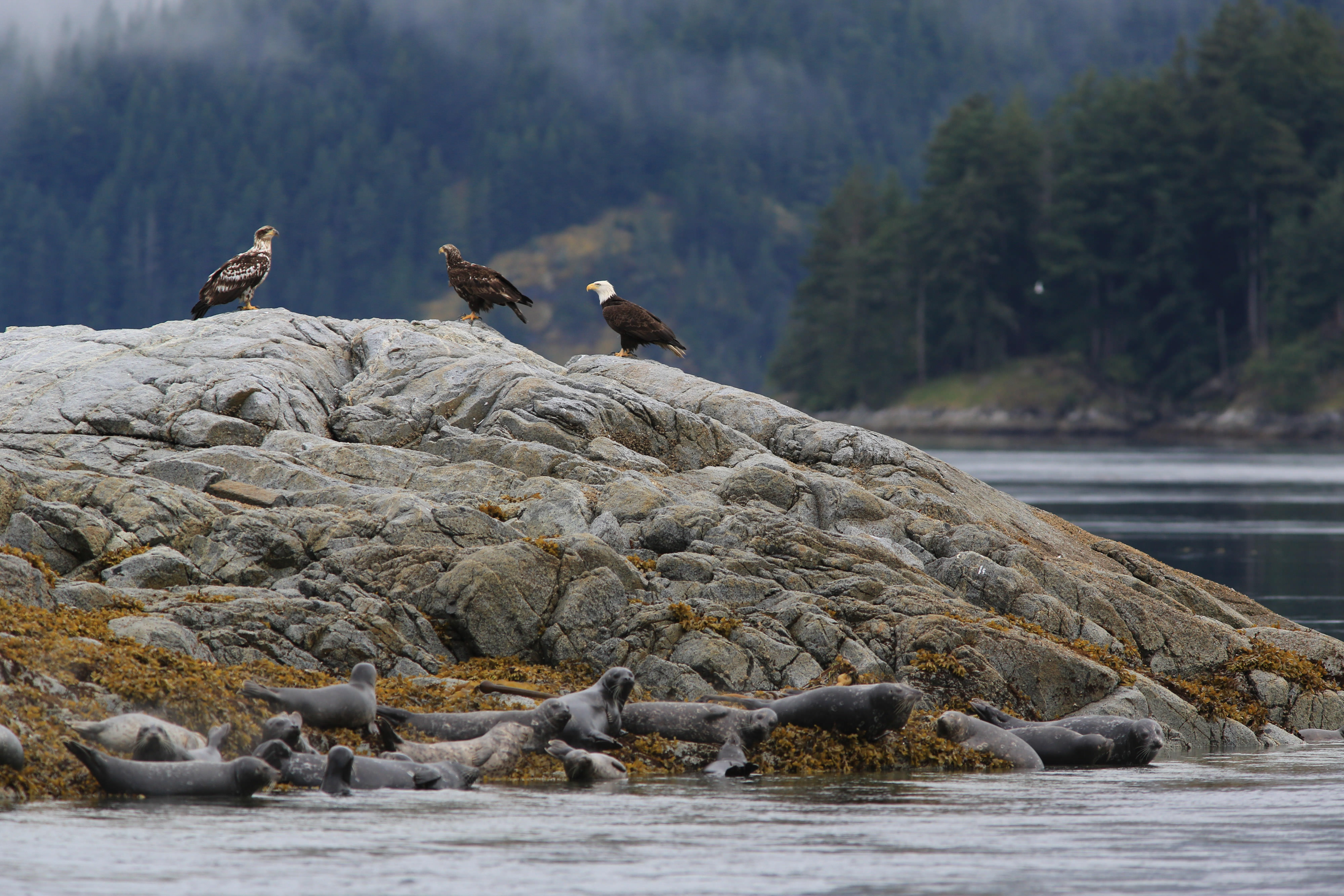 from TNC Canada / Nature United 