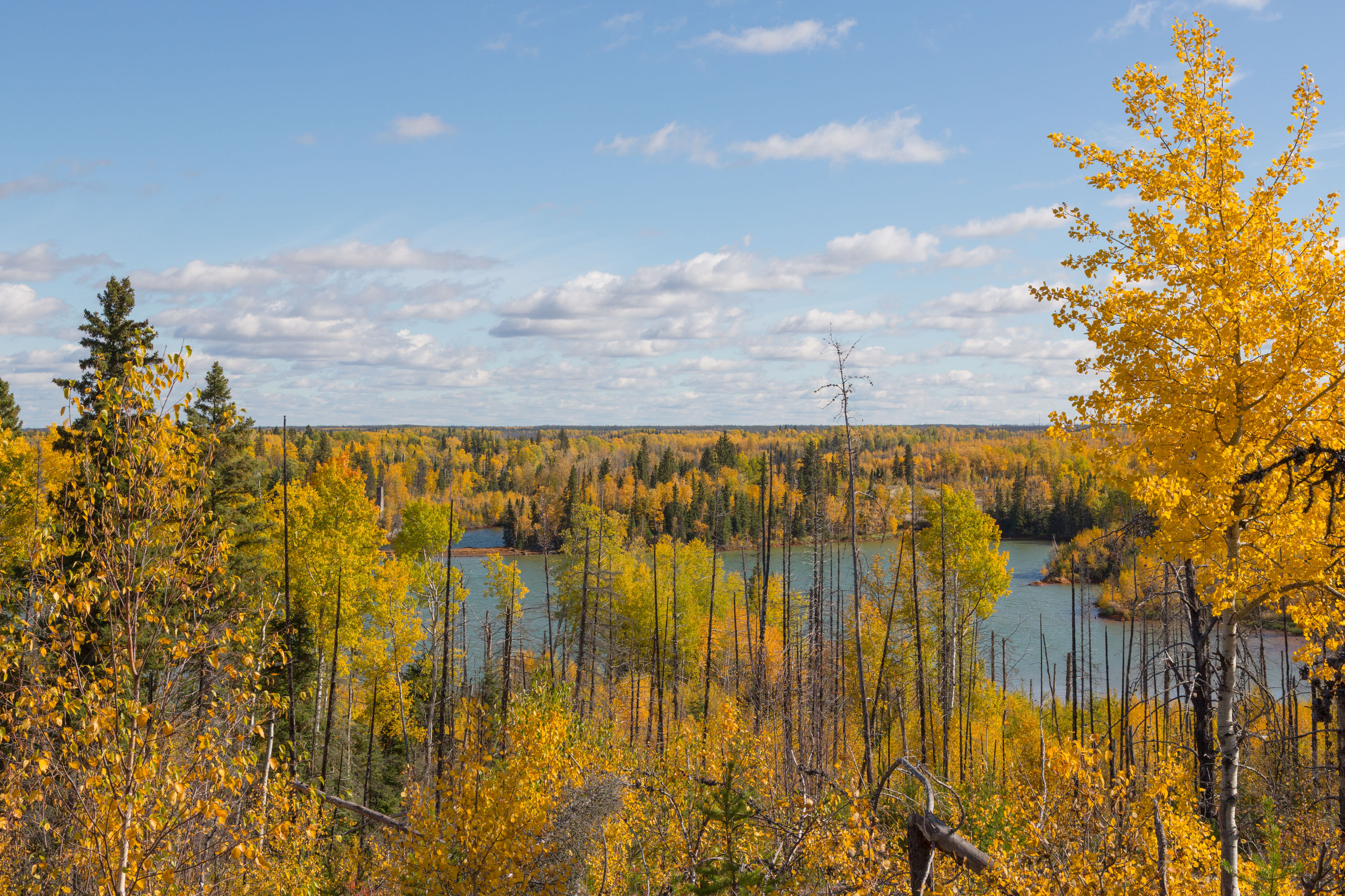 Infographic showing the way we work to support Indigenous-Led conservation in Boreal Manitoba.