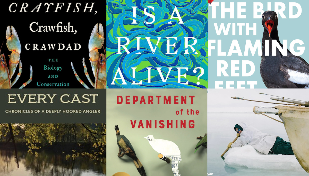 Collage of book covers.