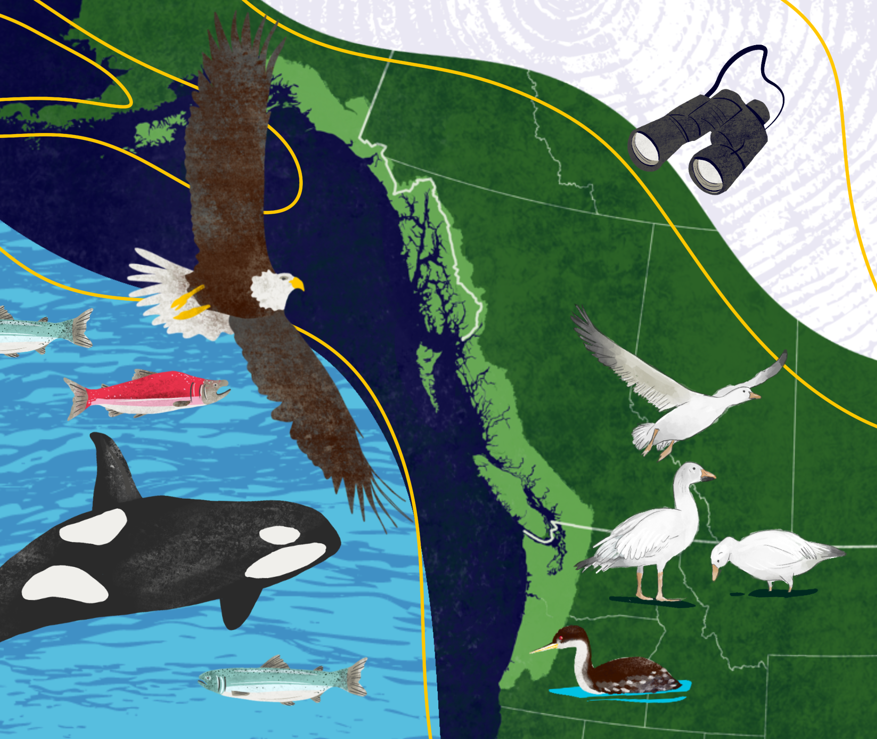 A map with animals.