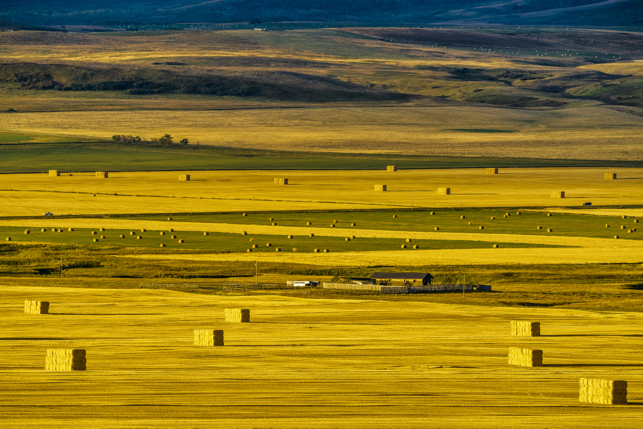 Landscape of farmland with hay bales.