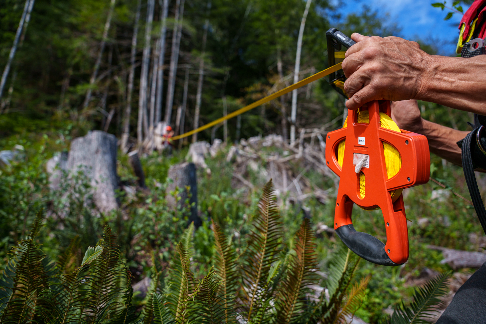 Hands holding a measuring tape in the forest.