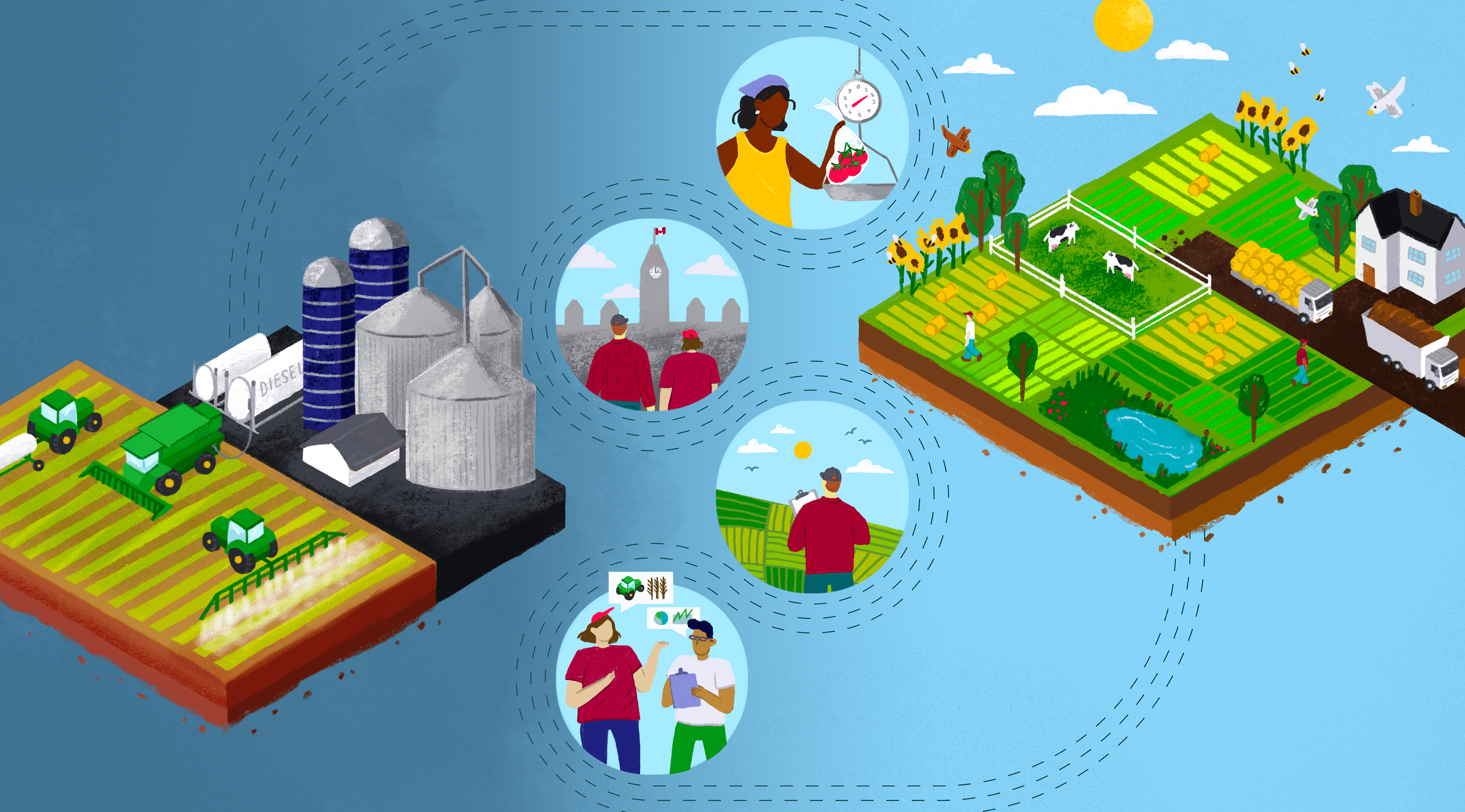 Graphic of sustainable agriculture