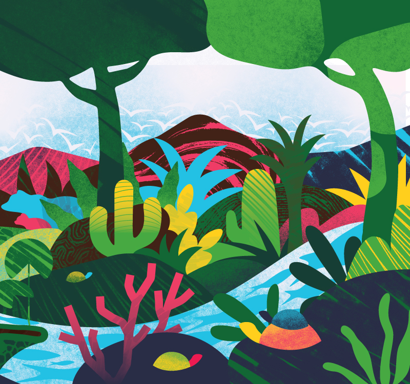 Colourful graphic of forest.