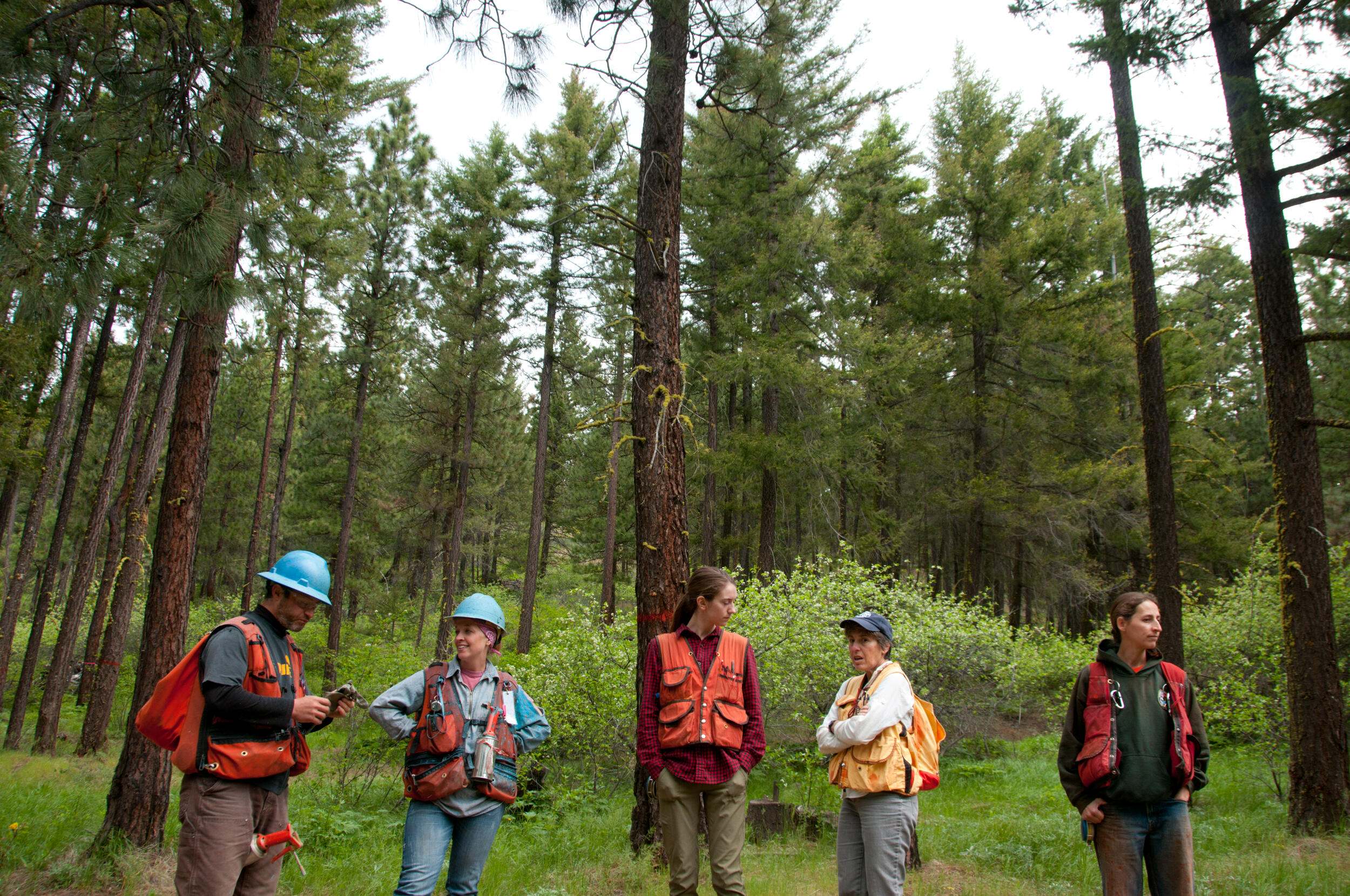 Forestry workshop near Cle Elum, Washington.